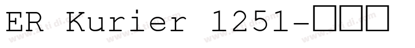 ER Kurier 1251字体转换